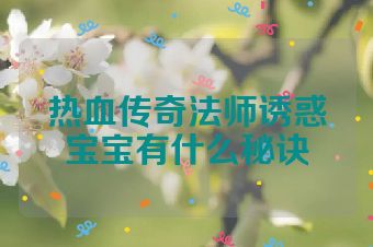 热血传奇法师诱惑宝宝有什么秘诀