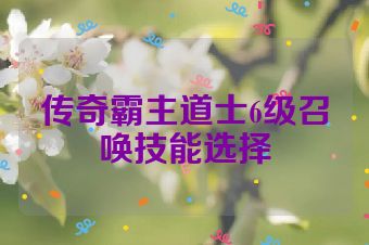 传奇霸主道士6级召唤技能选择