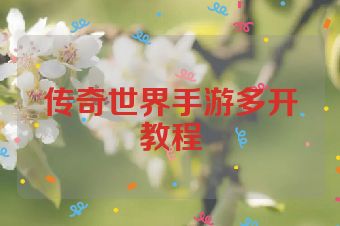 传奇世界手游多开教程