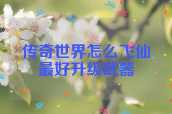 传奇世界怎么飞仙最好升级武器