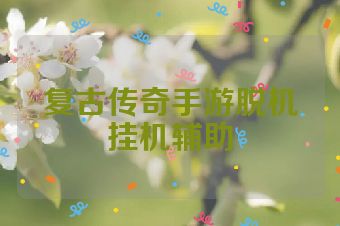 复古传奇手游脱机挂机辅助