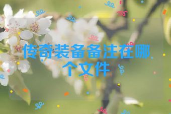 传奇装备备注在哪个文件