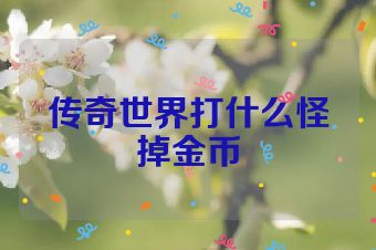 传奇世界打什么怪掉金币