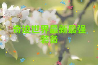 奇迹世界最新最强装备