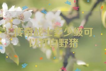 传奇战士多少级可以打白野猪