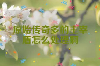 原始传奇多的主宰盾怎么处理啊