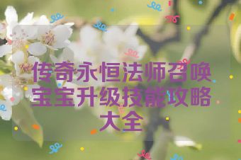 传奇永恒法师召唤宝宝升级技能攻略大全