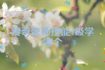传奇法师技能4级学哪个