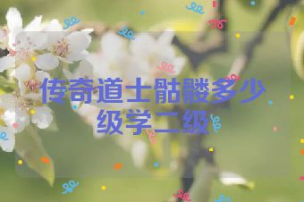 传奇道士骷髅多少级学二级