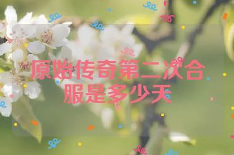 原始传奇第二次合服是多少天