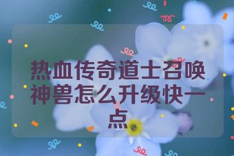 热血传奇道士召唤神兽怎么升级快一点