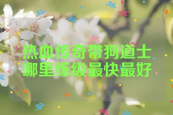 热血传奇带狗道士哪里练级最快最好
