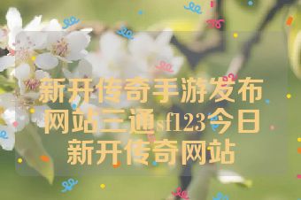 新开传奇手游发布网站三通sf123今日新开传奇网站