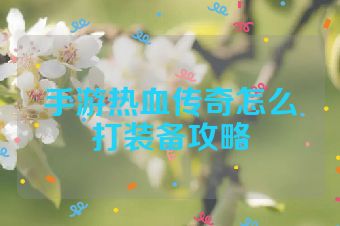 手游热血传奇怎么打装备攻略