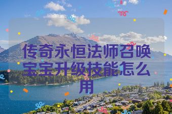 传奇永恒法师召唤宝宝升级技能怎么用