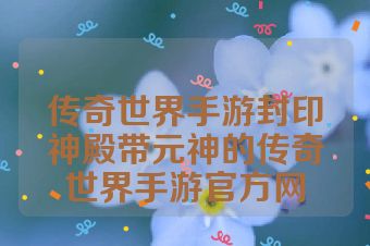传奇世界手游封印神殿带元神的传奇世界手游官方网
