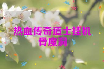 热血传奇道士挂机骨魔洞