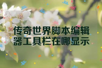 传奇世界脚本编辑器工具栏在哪显示