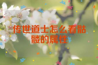 传世道士怎么看骷髅的属性
