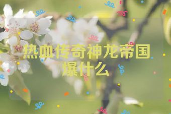 热血传奇神龙帝国爆什么