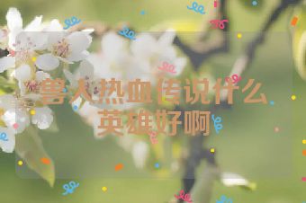 兽人热血传说什么英雄好啊