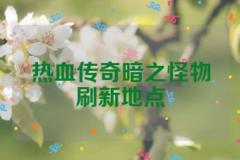 热血传奇暗之怪物刷新地点