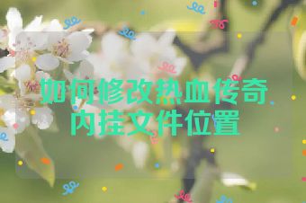 如何修改热血传奇内挂文件位置