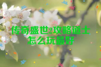 传奇盛世2攻略道士怎么玩最好