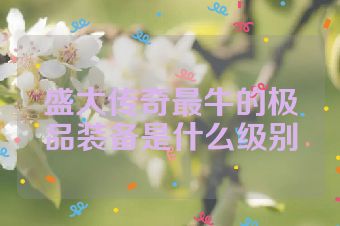 盛大传奇最牛的极品装备是什么级别