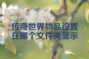 传奇世界物品设置在哪个文件夹显示