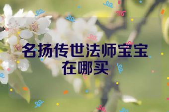 名扬传世法师宝宝在哪买