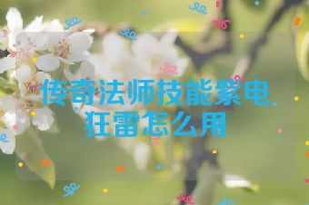 传奇法师技能紫电狂雷怎么用