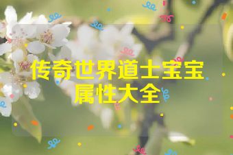 传奇世界道士宝宝属性大全