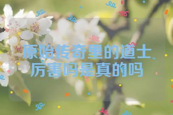 原始传奇里的道士厉害吗是真的吗