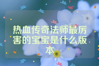 热血传奇法师最厉害的宝宝是什么版本