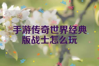 手游传奇世界经典版战士怎么玩
