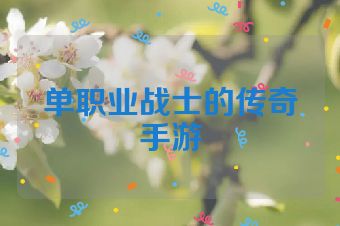 单职业战士的传奇手游