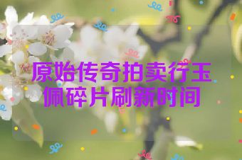 原始传奇拍卖行玉佩碎片刷新时间
