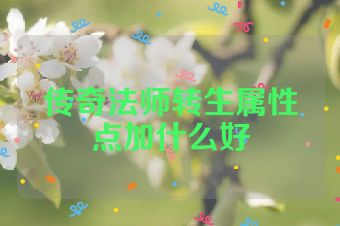 传奇法师转生属性点加什么好