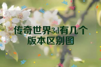 传奇世界3d有几个版本区别图