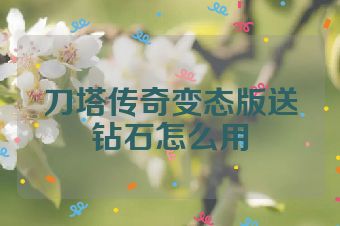 刀塔传奇变态版送钻石怎么用