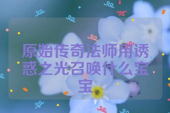原始传奇法师用诱惑之光召唤什么宝宝