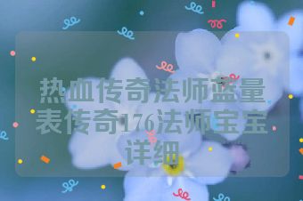 热血传奇法师蓝量表传奇176法师宝宝详细