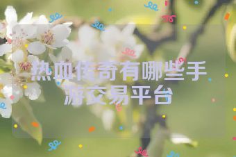 热血传奇有哪些手游交易平台