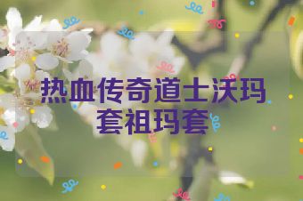 热血传奇道士沃玛套祖玛套