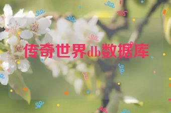 传奇世界db数据库