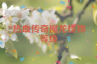 热血传奇魔龙怪物等级
