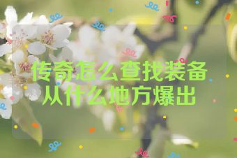 传奇怎么查找装备从什么地方爆出