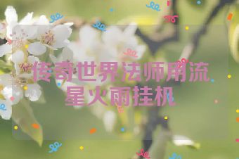 传奇世界法师用流星火雨挂机
