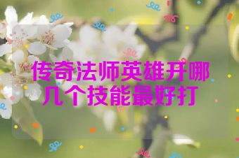 传奇法师英雄开哪几个技能最好打